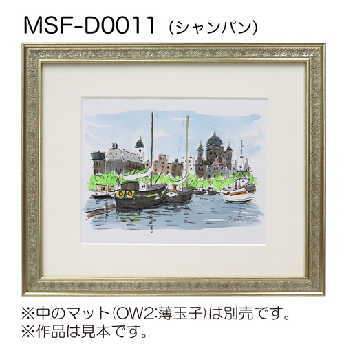 デッサン額縁：MSF-D0011 シャンパン（アクリル）（既製品サイズ）