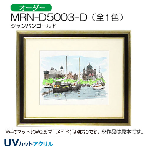 MRN-D5003-D(UVカットアクリル)　【オーダーメイドサイズ】デッサン額縁 シャンパンゴールド
