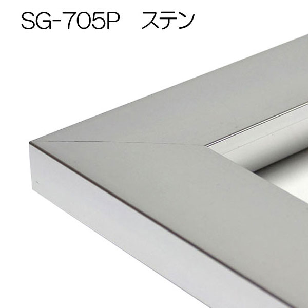 SG-705P(アクリル)　【既製品サイズ】デッサン額縁(アルフレーム) S.ステン