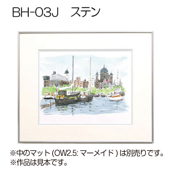 BH-03J(旧NS-03)(アクリル)　【既製品サイズ】デッサン額縁(アルフレーム) S.ステン