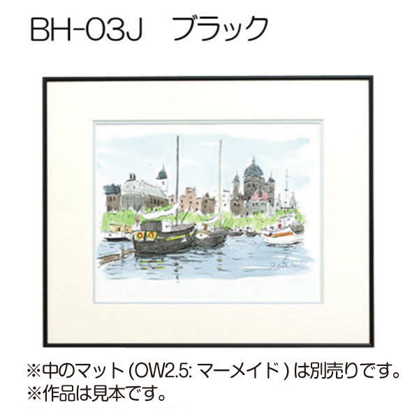 BH-03J(旧NS-03)(アクリル)　【既製品サイズ】デッサン額縁(アルフレーム) K.ブラック