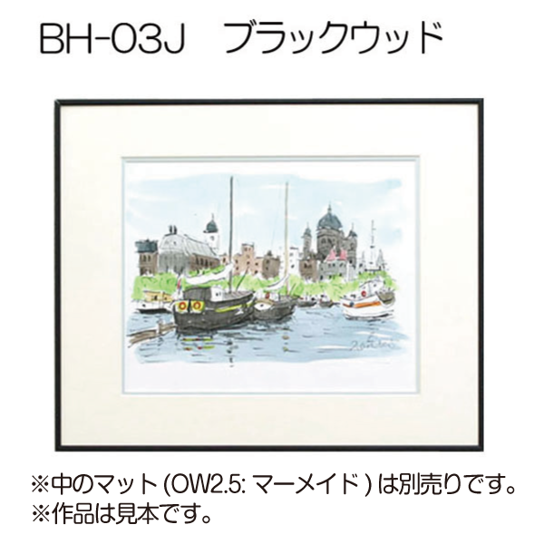 BH-03J(旧NS-03)(アクリル)　【既製品サイズ】デッサン額縁(アルフレーム) WD5:ブラックウッド