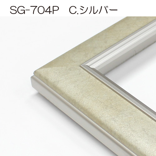 SG-704P(アクリル)　【既製品サイズ】デッサン額縁(アルフレーム) C.シルバー