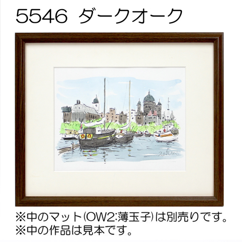 デッサン額縁:5546(アクリル) | 額縁通販・画材通販のことならマルニ