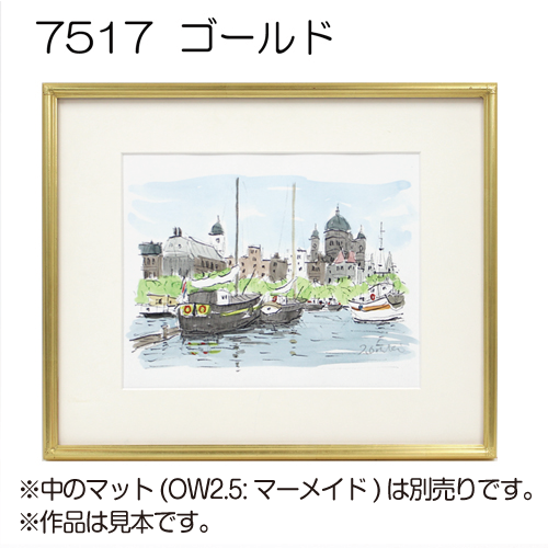 デッサン額縁:7517(アクリル) | 額縁通販・画材通販のことならマルニ